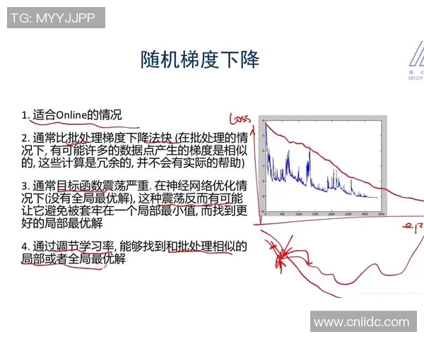广州网球队运营分析:成功经验与面临挑战的深度探讨