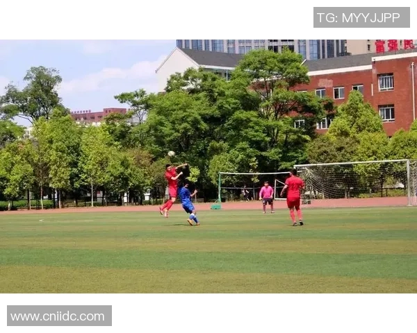 深圳篮球队边路渗透战术分析与效果评估探讨